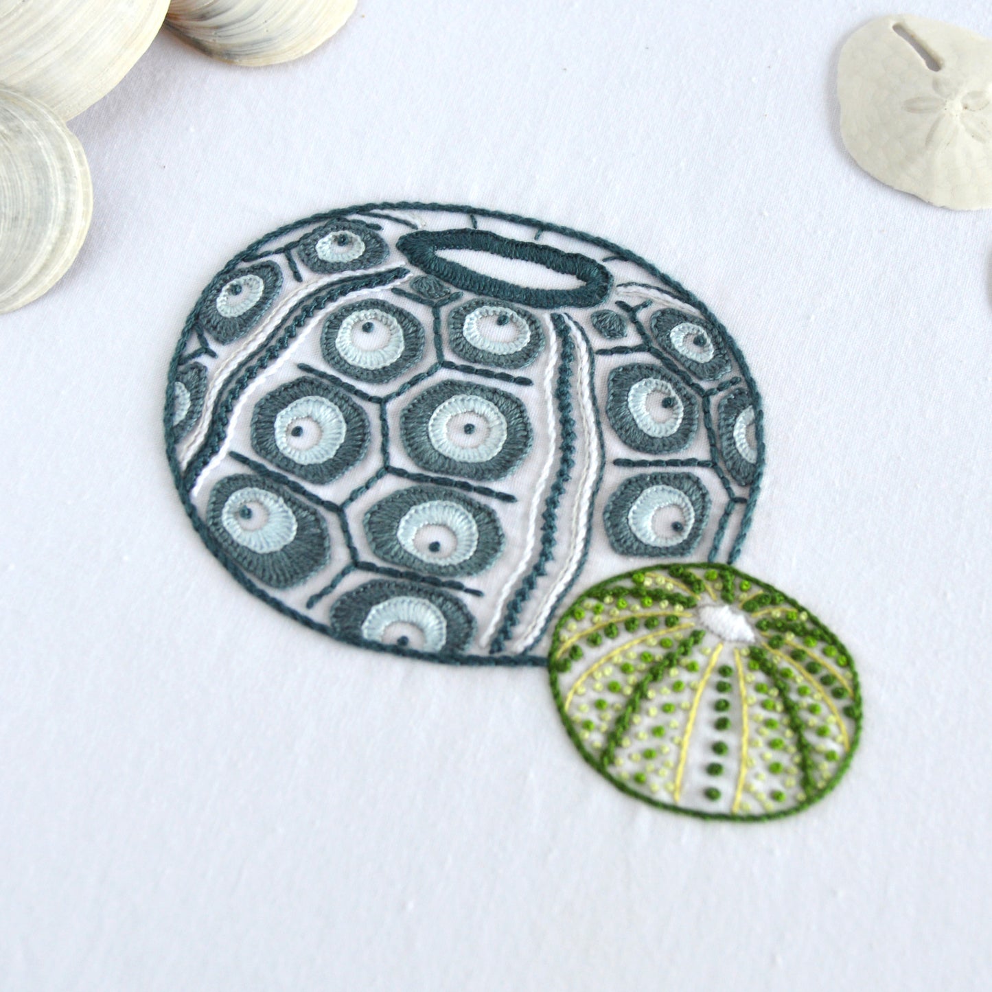 Sea Urchins III