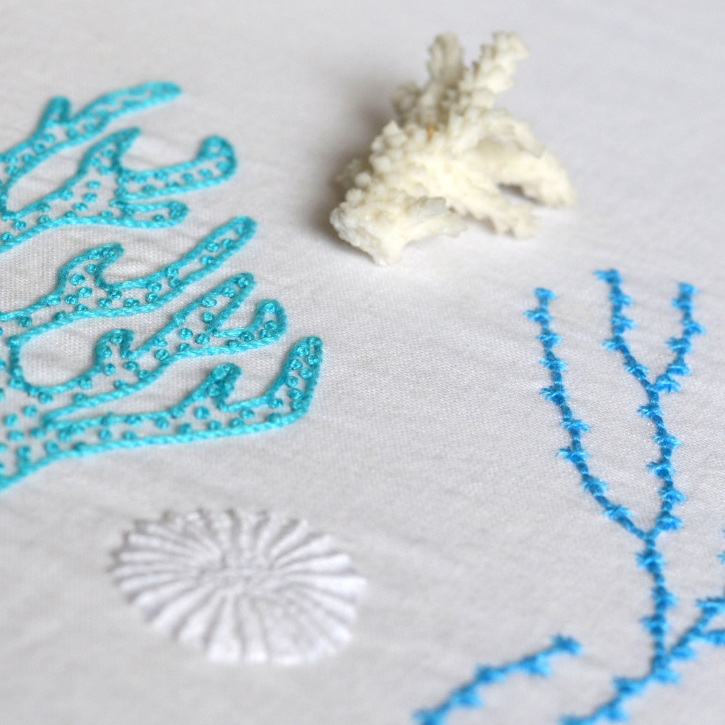 Wild Coral