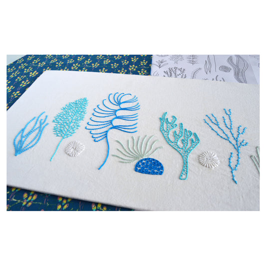 Wild Coral