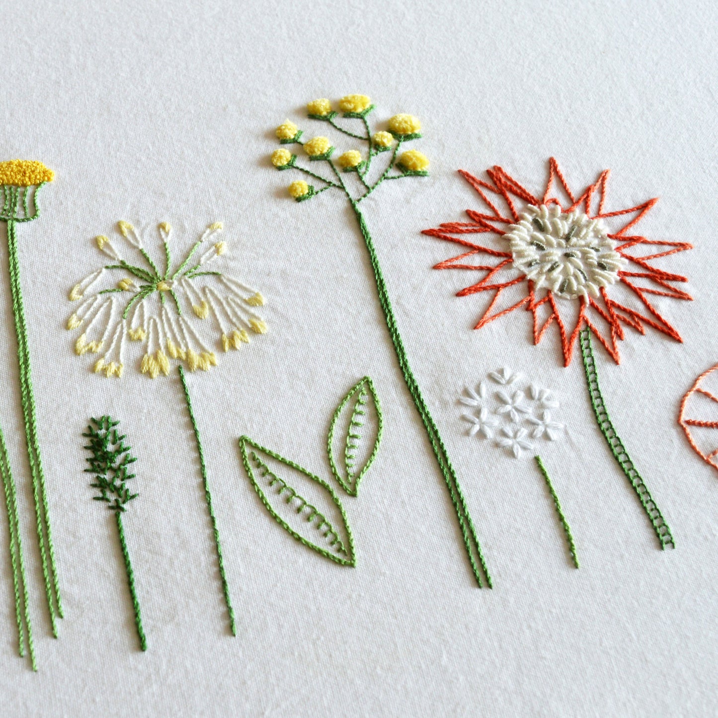 Wild Flowers