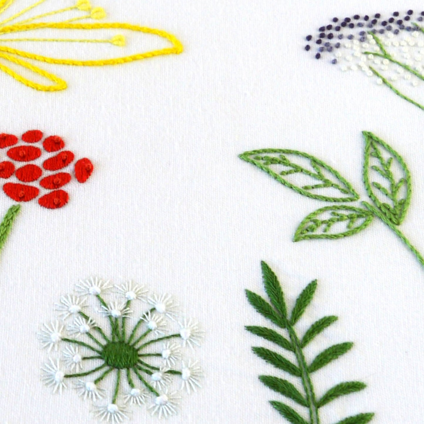 Wild Herbs