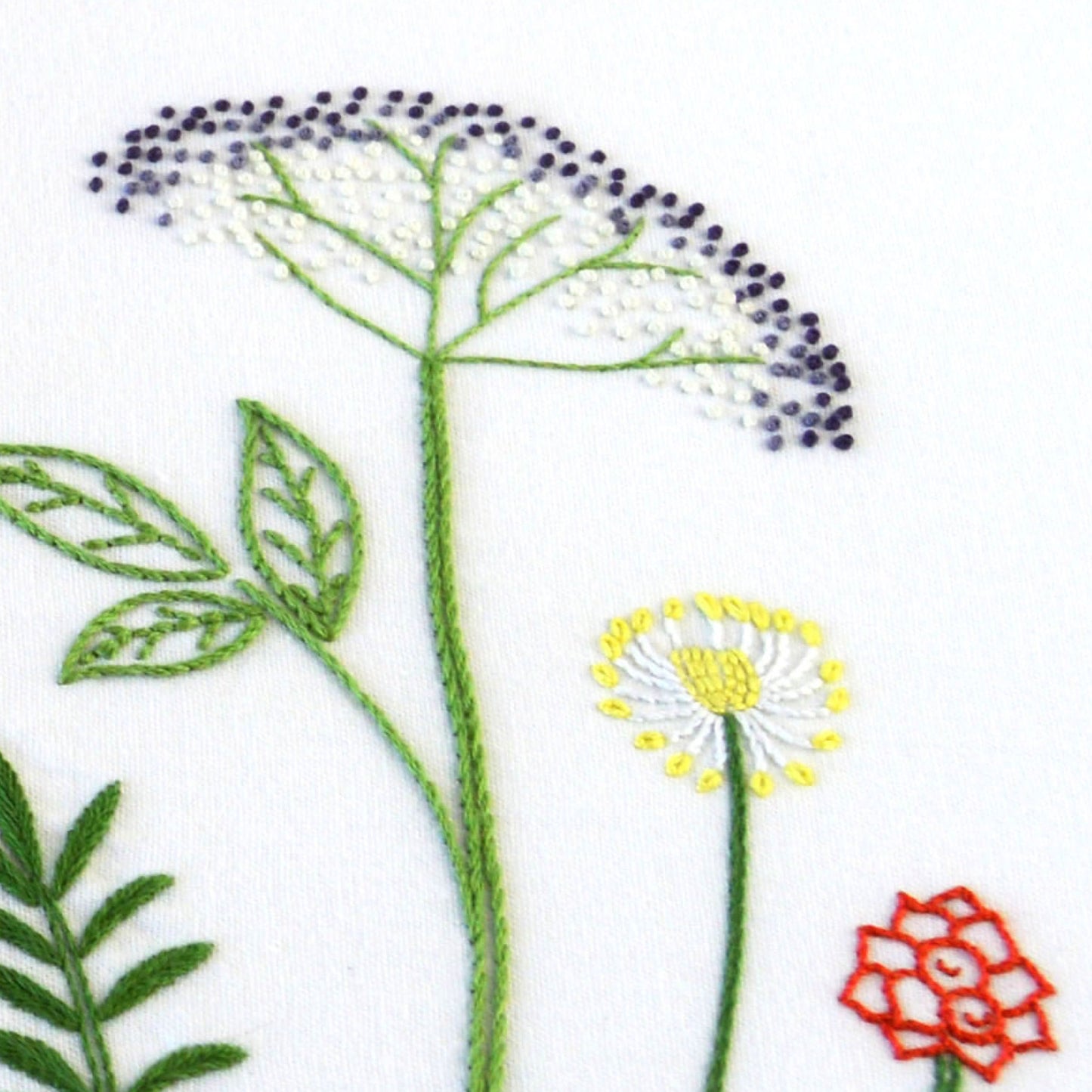 Wild Herbs