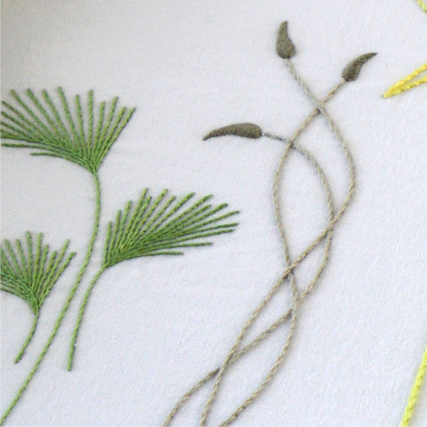 Wild Reeds