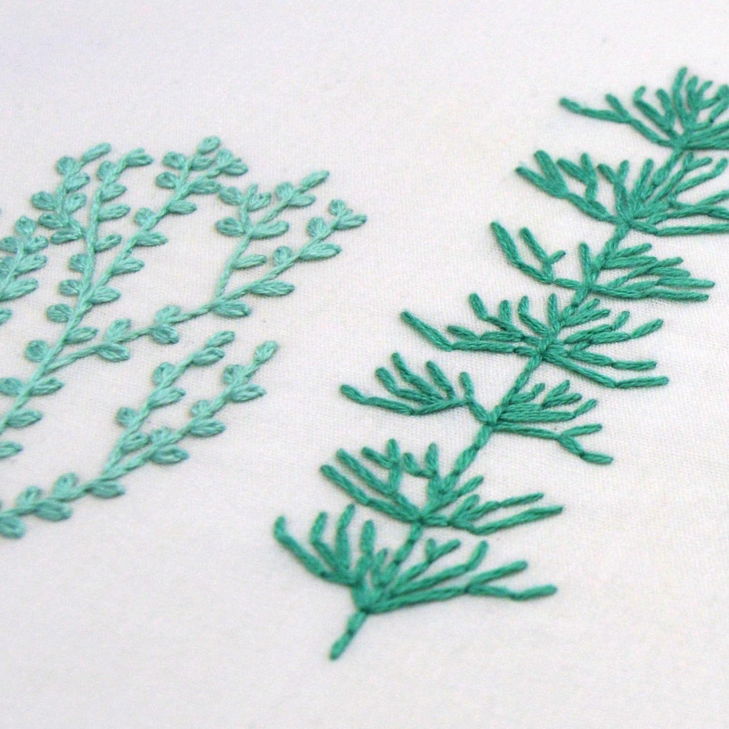 Wild Seagrass