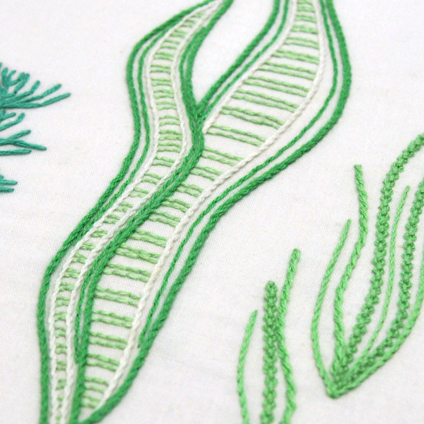 Wild Seagrass
